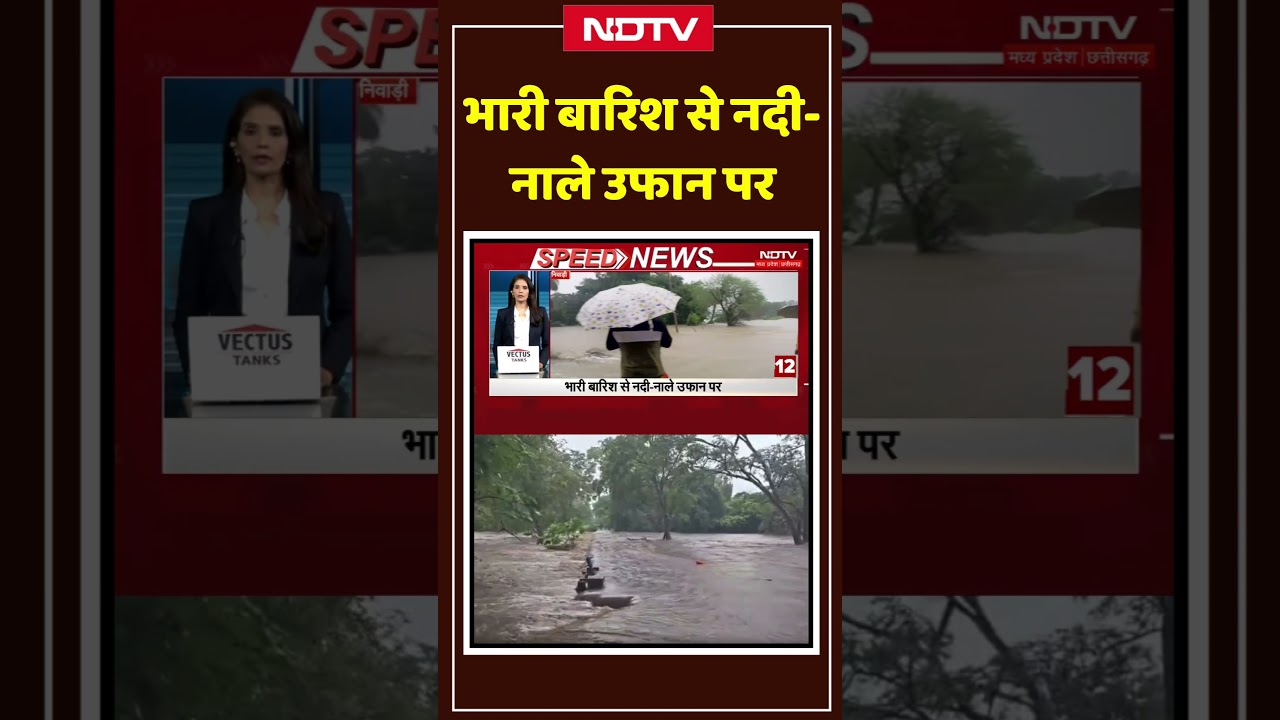 Niwari Flood Video: भारी बारिश से नदी-नाले उफान पर #niwari #rainfall #shorts #ytshorts #floods