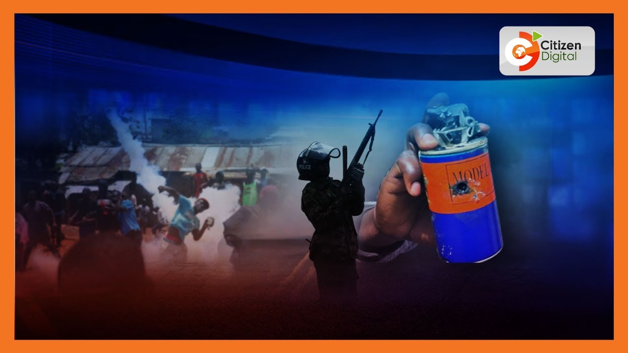 35 children hospitalized  after police lobbed tear gas in school