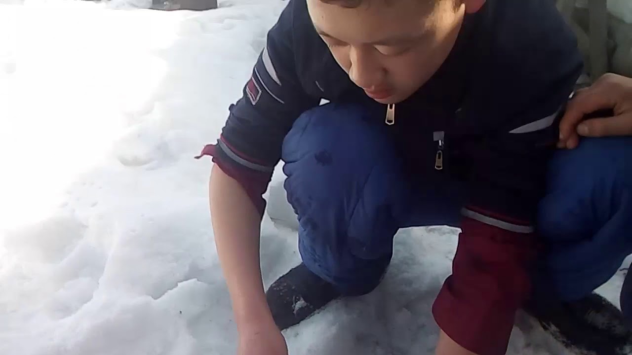 Рыбалка сазан