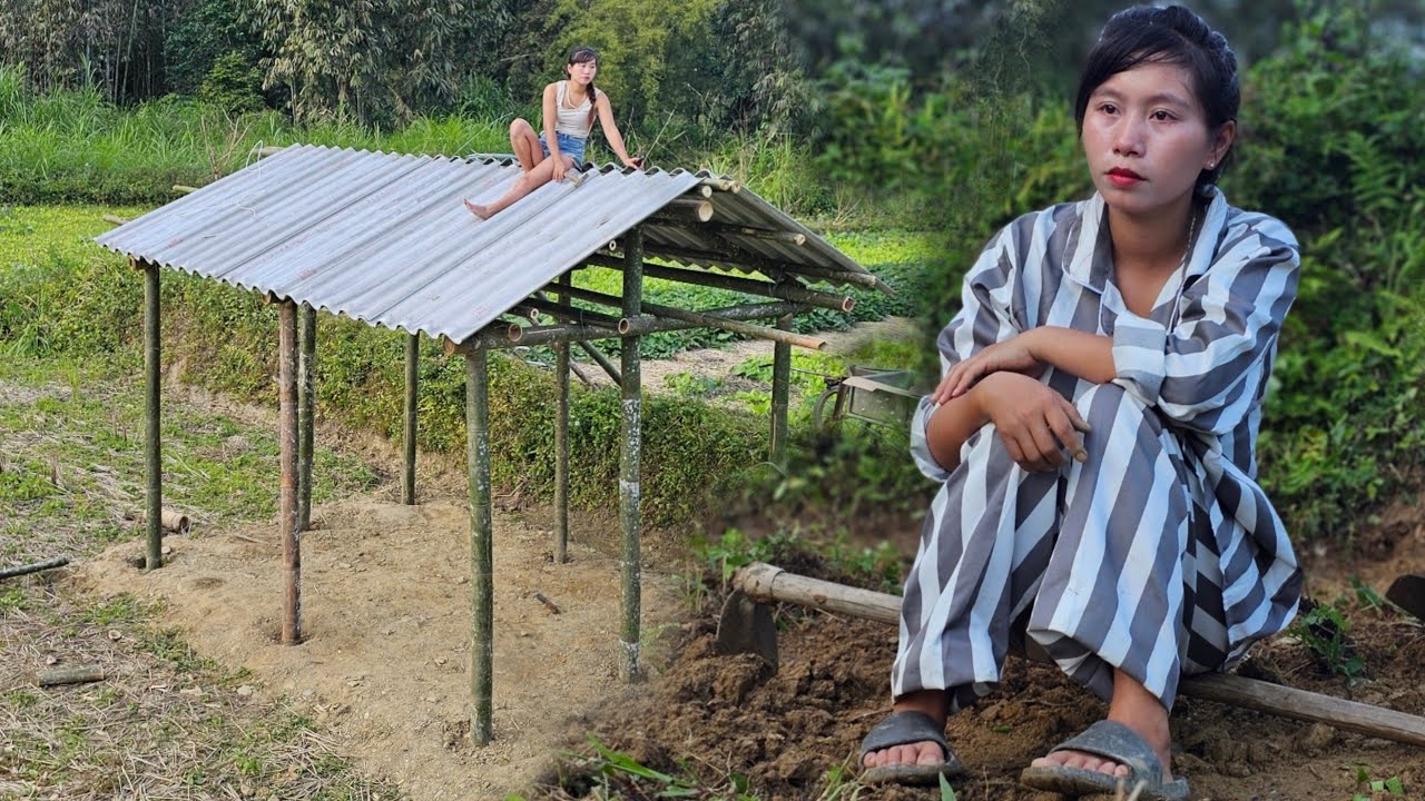 After Being Released From Prison, Back to the Countryside Building a House Correct Life Mistakes.