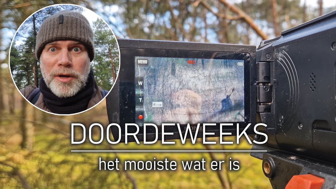 #47 - DOORDEWEEKS - het mooiste wat er is