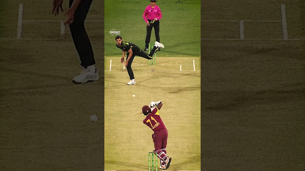Mitchell Starc's T20I DOMINANCE 🔥
