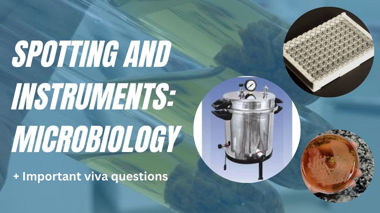 Microbiology spotting | Microbiology practicals | practical MBBS Microbiology | Spotting
