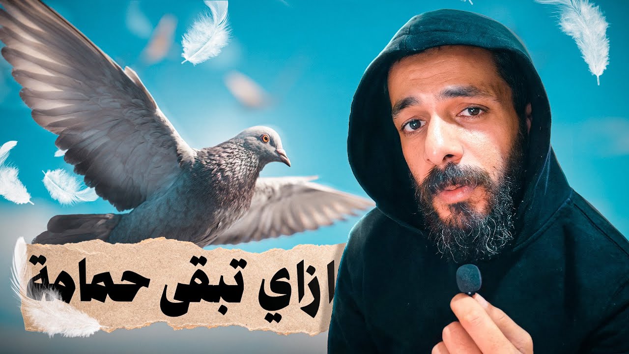 الحياة من وجهة نظر الحمامة