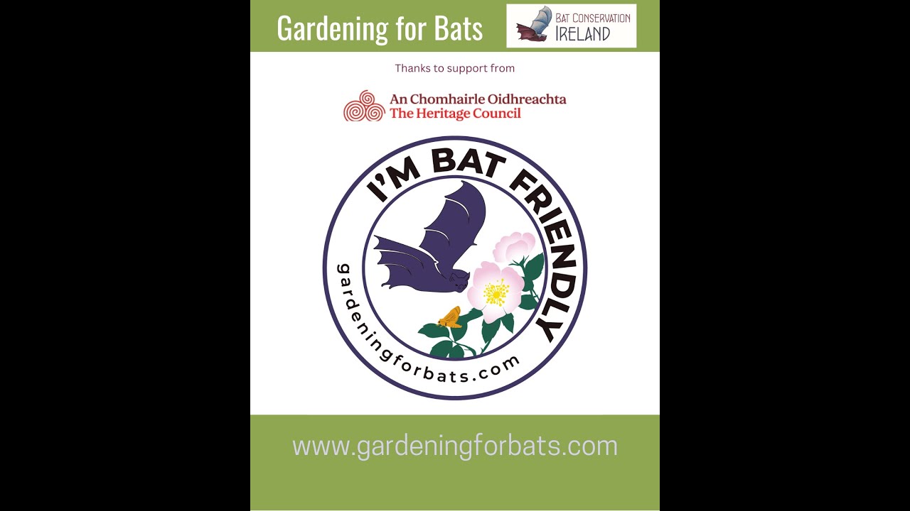 Gardening for Bats Launch Event on 31st January 2025