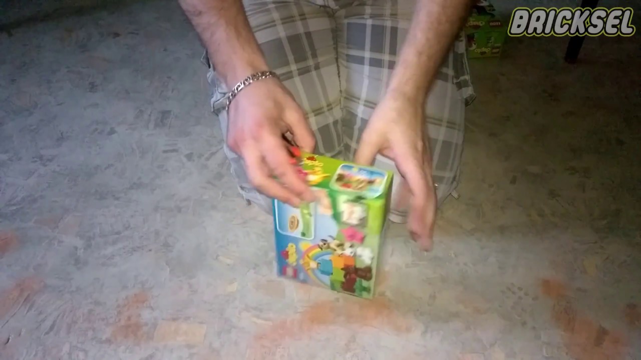 Распаковка LEGO DUPLO 10838 Домашние животные (Family Pets unboxing set)