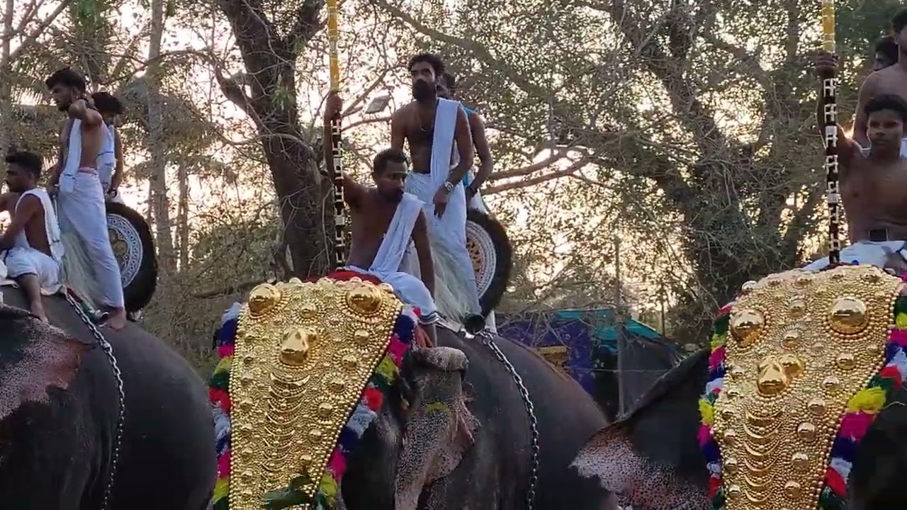 ചെലൂർ കാവ് താലപ്പൊലി 2026 #hindufestival #hindutemple #hinduism #templefestival #entertainment 