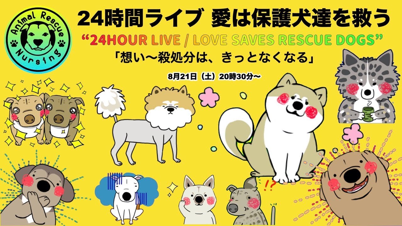 24時間ライブ　愛は保護犬達を救う（チャンネル登録者のみチャット可）8月21日20時30分〜
