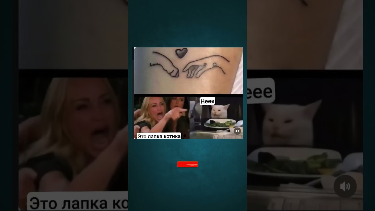 #мем