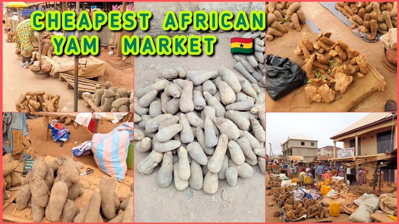 A TYPICAL AFRICAN YAM MARKET IN WEST AFRICA ||TECHIMAN 🇬🇭 YAM MARKET 