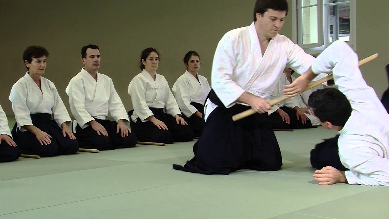 Maquette Aikido FFAAA