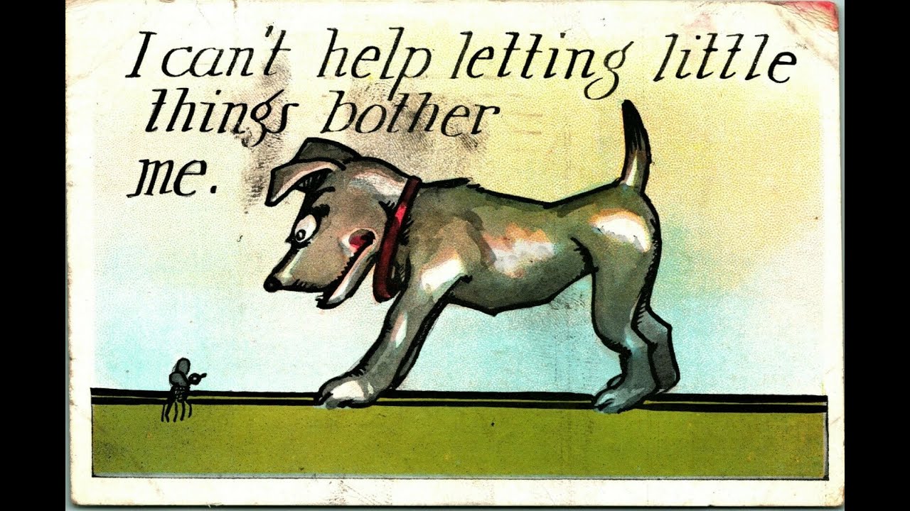 Sometimes It Pays To Bother With Little Things (profits) Postcards Ebay What Sold Feb 28 2022