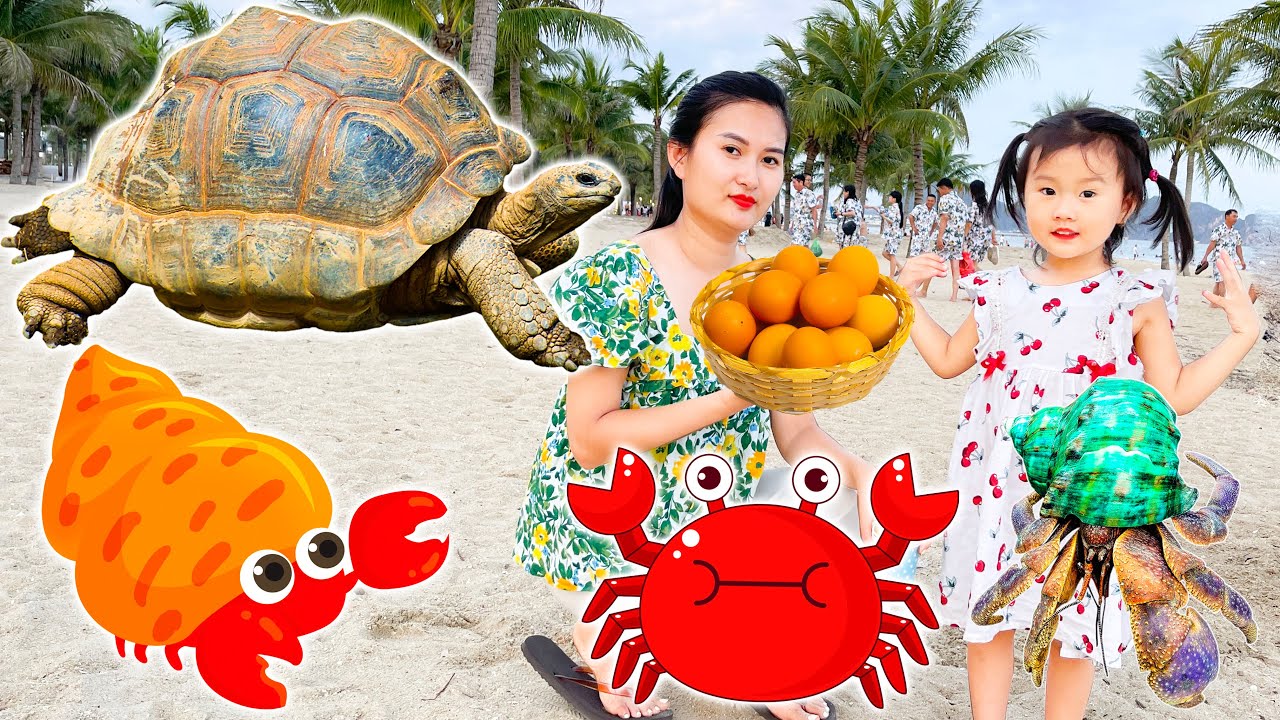 Cam Cam t&igrave;m kiếm c&aacute;c con vật th&uacute; vị ở b&atilde;i biển: con cua, ch&oacute; con - nhặt trứng r&ugrave;a khổng lồ