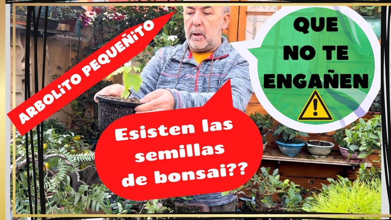 ❗️❗️Que no te engañen