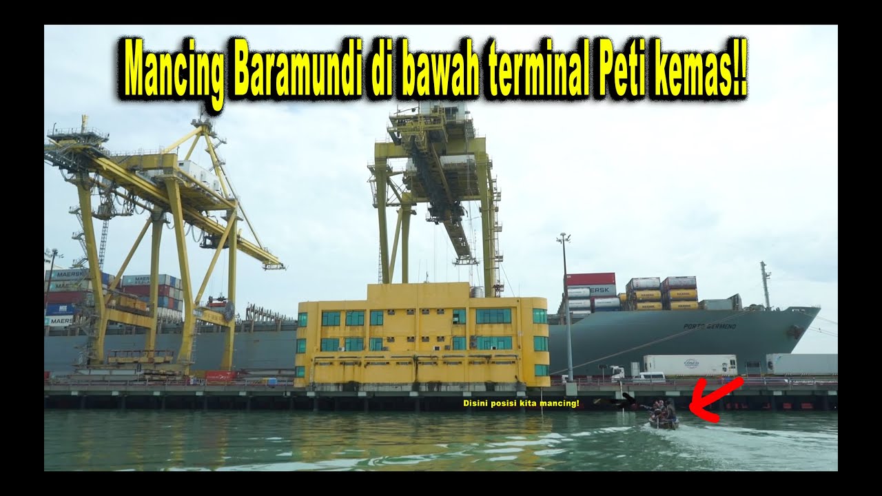 Mancing Baramundi di bawah Kolong