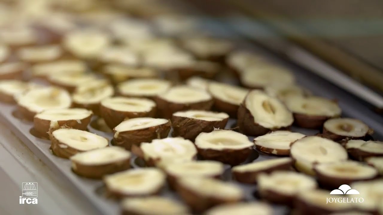 IRCA Corporate Video