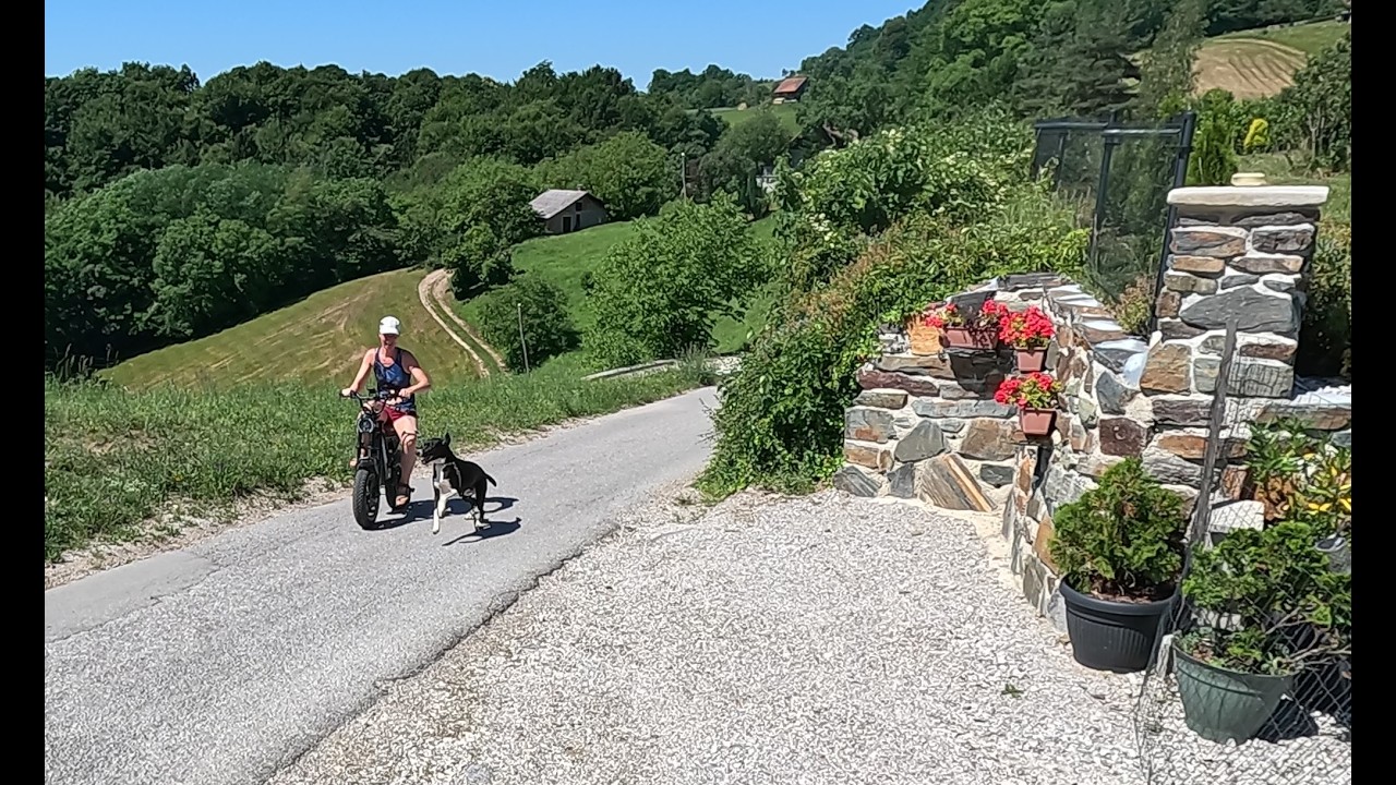 Peacefull and Quiet Life on Our Homestead on Countryside of SLOVENIA