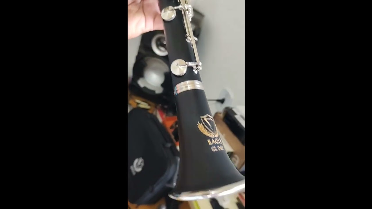 Clarinete Eagle CL04 ( Nova ) Zero _ Bel&iacute;ssima _ (( &Agrave; Venda ))!!!