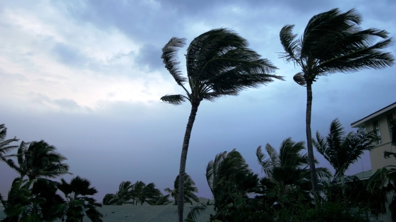 &lsquo;Greater risk&rsquo; of severe tropical cyclones this season