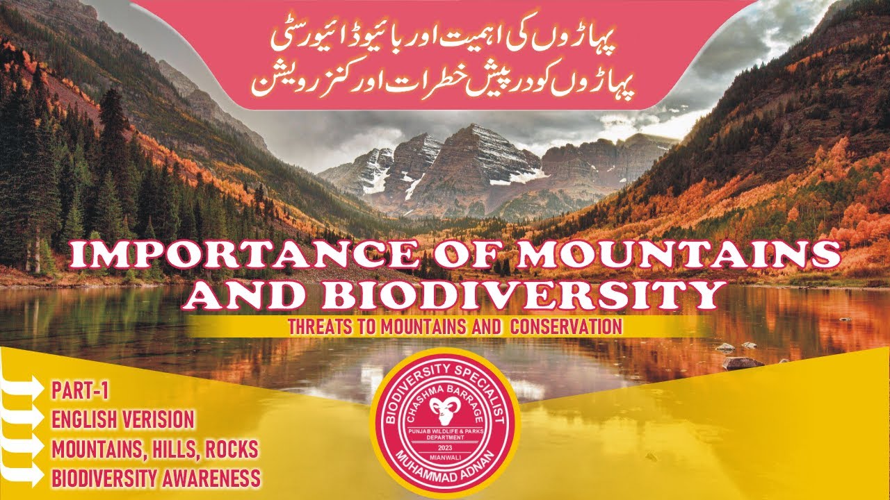 Importance of Mountains for Wildlife & Biodiversity