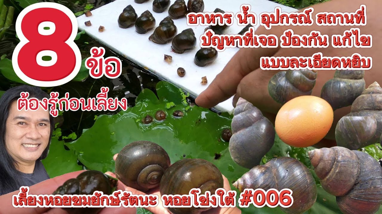 8 ข้อต้องรู้ ก่อนเลี้ยงหอยขมยักษ์รัตนะ หอยโข่งใต้ ก่อนหอยตายยกบ่อ : บ้านสวนวาสนาดี EP.56