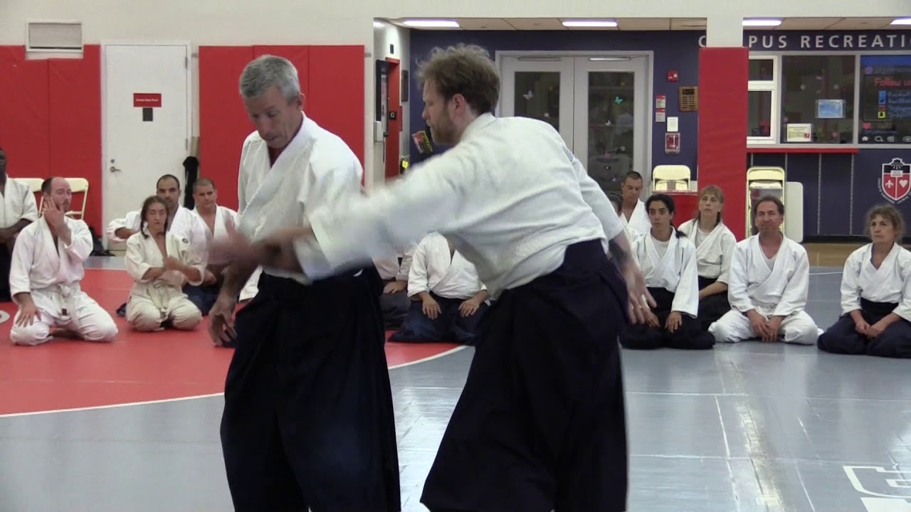 Birankai Aikido Summer Camp 2016 - G. Lyons Class 2