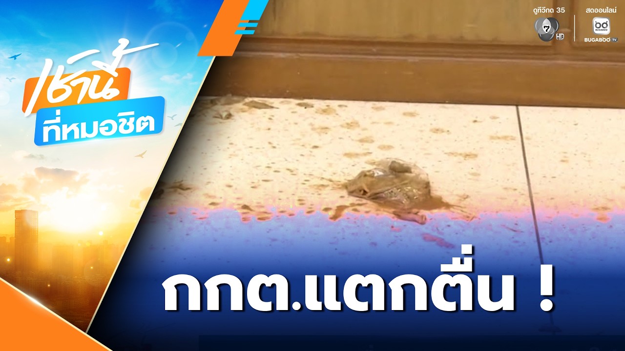 กกต.แตกตื่น ! ลุงบุกปาปลาร้าใส่ | เช้านี้ที่หมอชิต