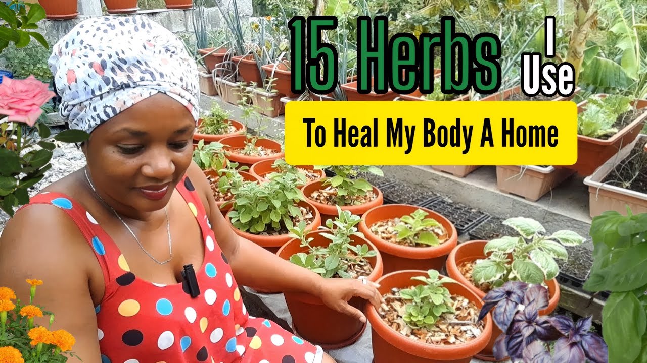 15 HERBS I Use To HEAL My Body At Home