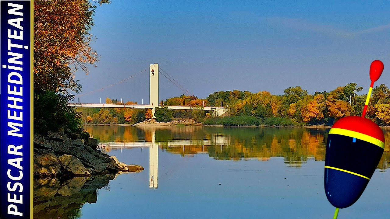 Schimbi locul, schimbi norocul. Pescuit pe Dunăre la PF2.  20/10/2021