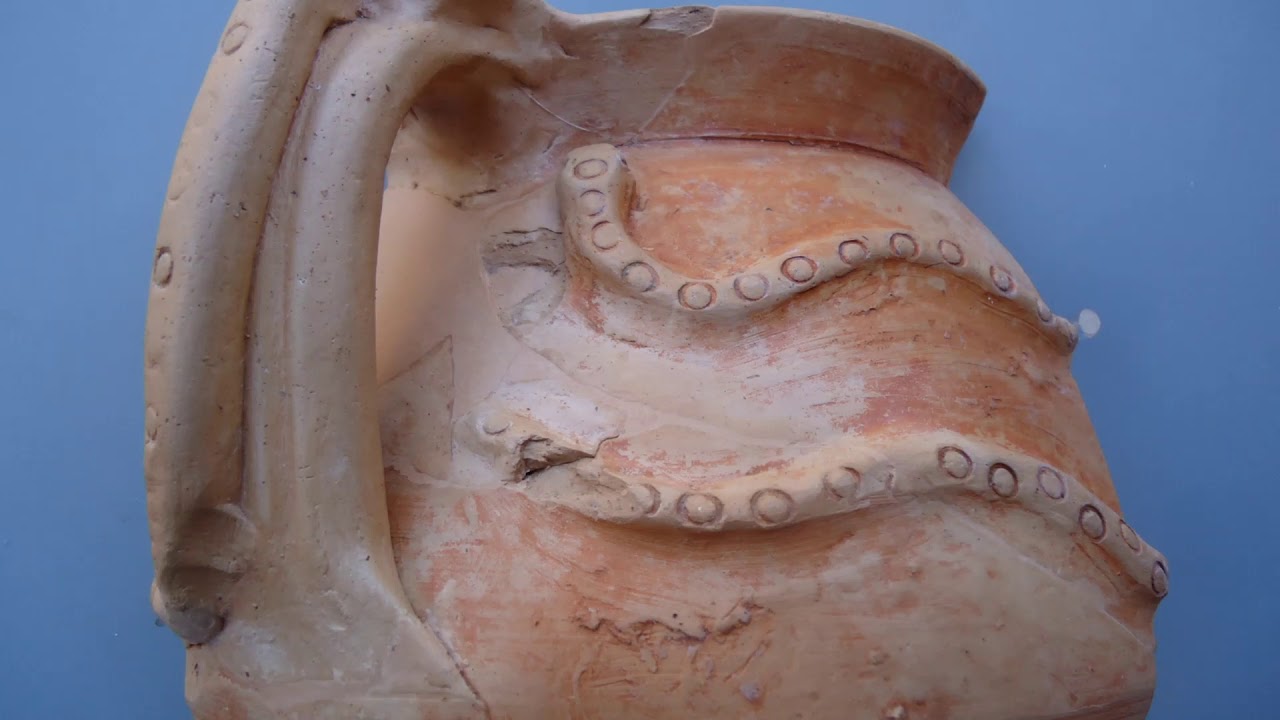 Il Museo di Cosa