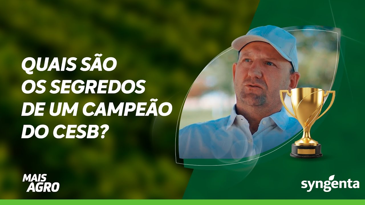 Campe&atilde;o do CESB: a hist&oacute;ria do Grupo Gorgen