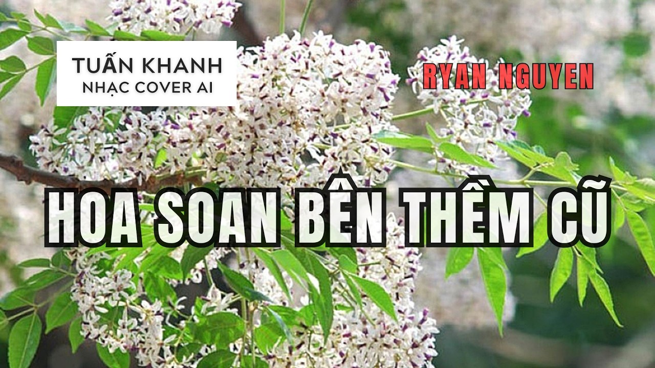 HOA SOAN BÊN THỀM CŨ - TUẤN KHANH - NHẠC COVER AI - RYAN NGUYEN