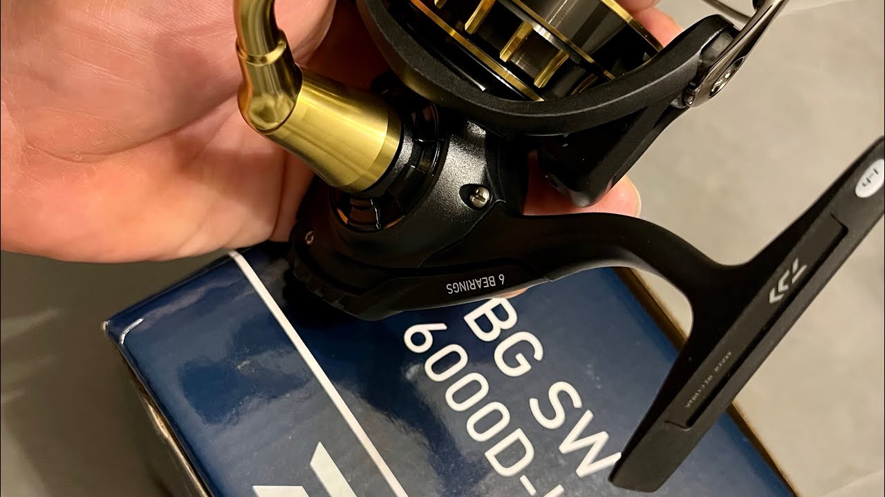 Daiwa BG SW 2023