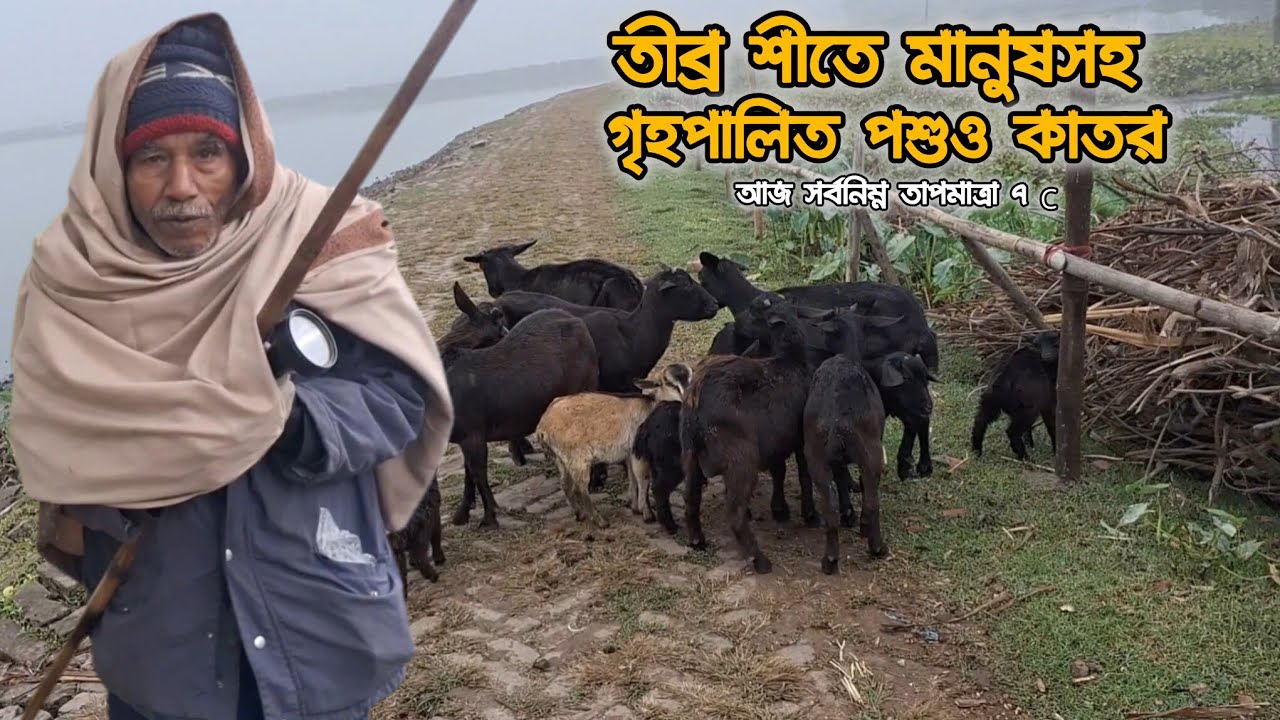 এবারের শীতে সর্বনিম্ন তাপমাত্রায় আমরা হাঁটতে বেরিয়েছিলাম 22 January 2026