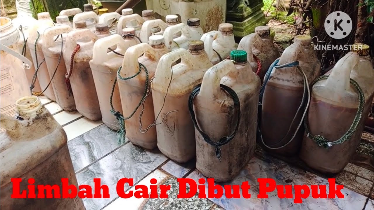 Limbah Cair Dibuat Pupuk 