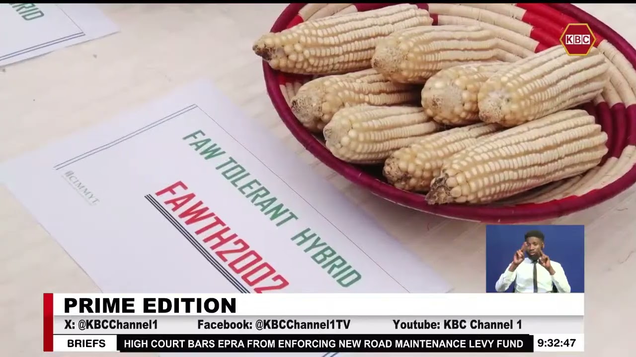 Farmers urge government to subsidize seeds