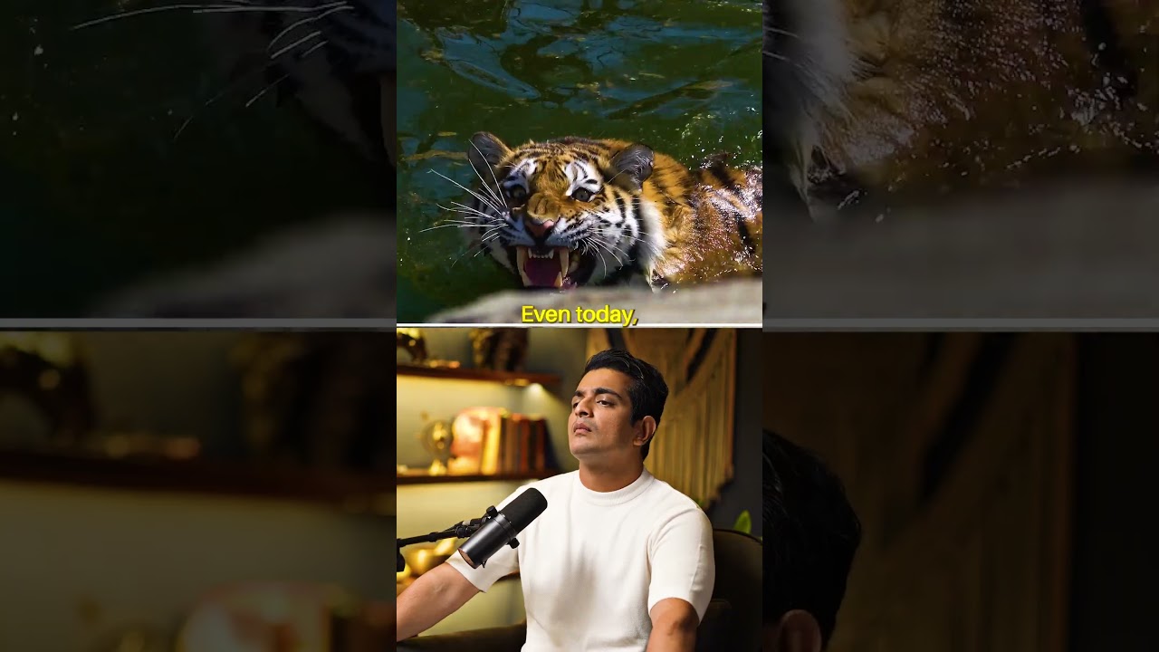 Crazy Facts About Tigers and Lions ft. Hans Dalal