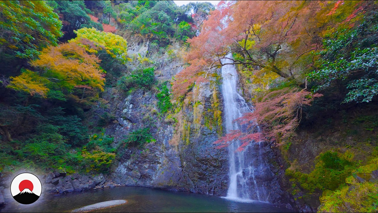 Autumn Leaves in the Waterfalls of Minoh OSAKA