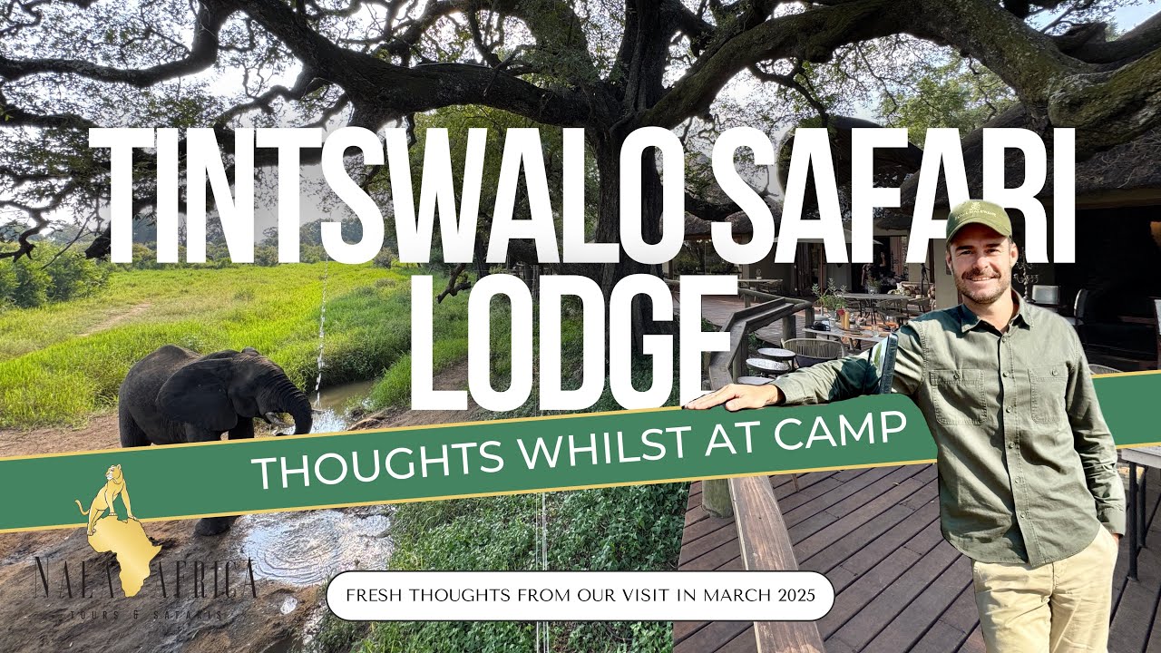 Tintswalo Safari Lodge - Thoughts Whilst At Camp 🐘