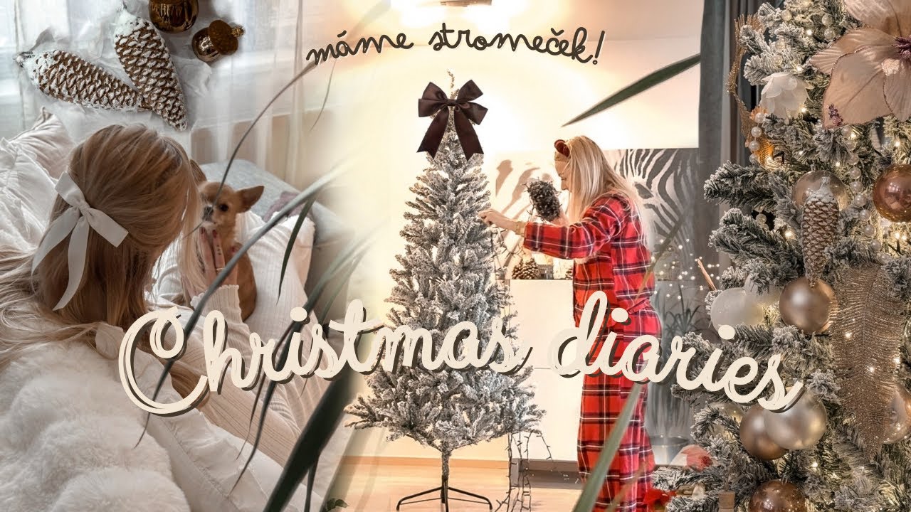 Christmas diaries | Máme stromeček s přišla nám postel!
