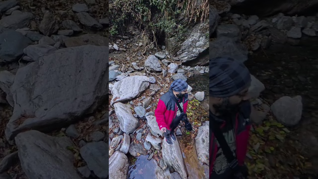 4k Video - Birding at Chopta House - Portrait View