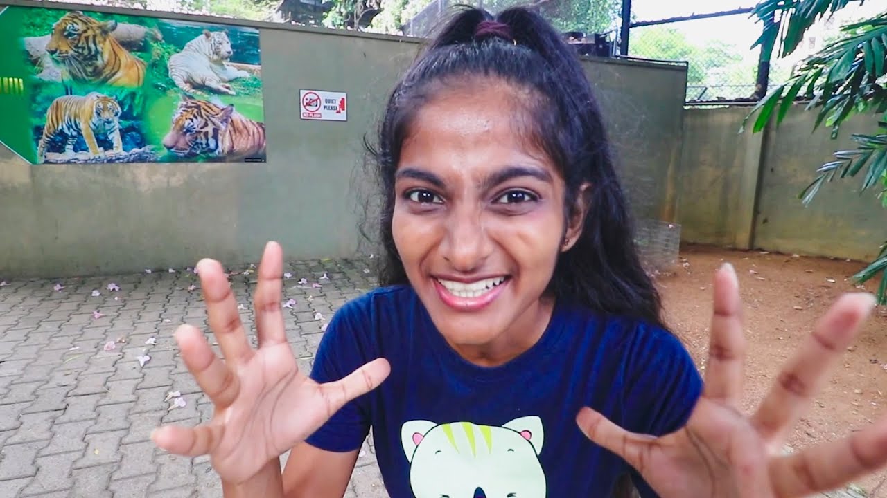 දෙහිවල Zoo එකට රු.2,270 ට්‍රිප් එක