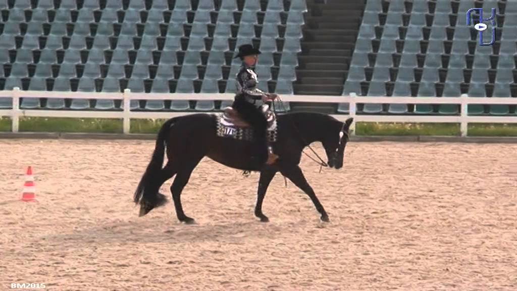 Bayerische Meisteschaft 2015 Horsemanship
