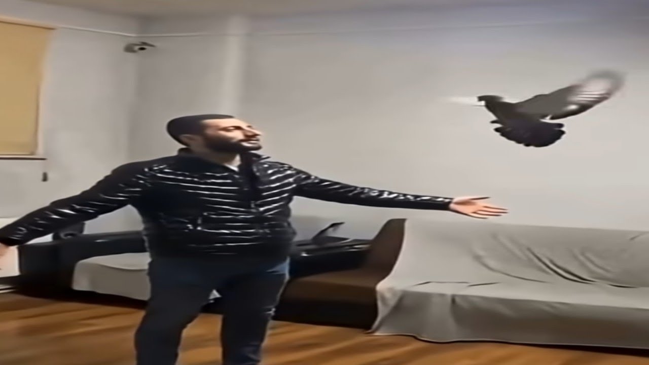 TENİMİN SOĞUĞUNDA