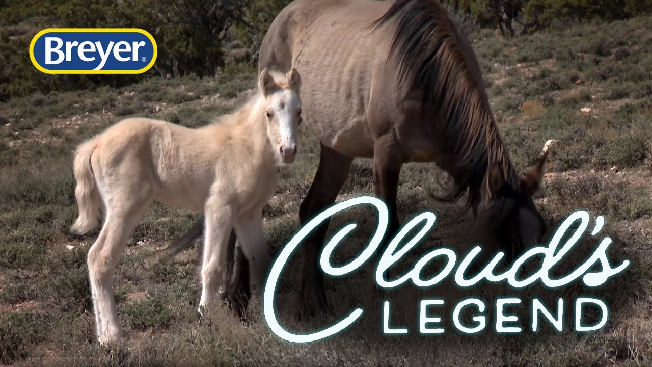 The Story Behind Cloud's Legend | Breyer Model Horses