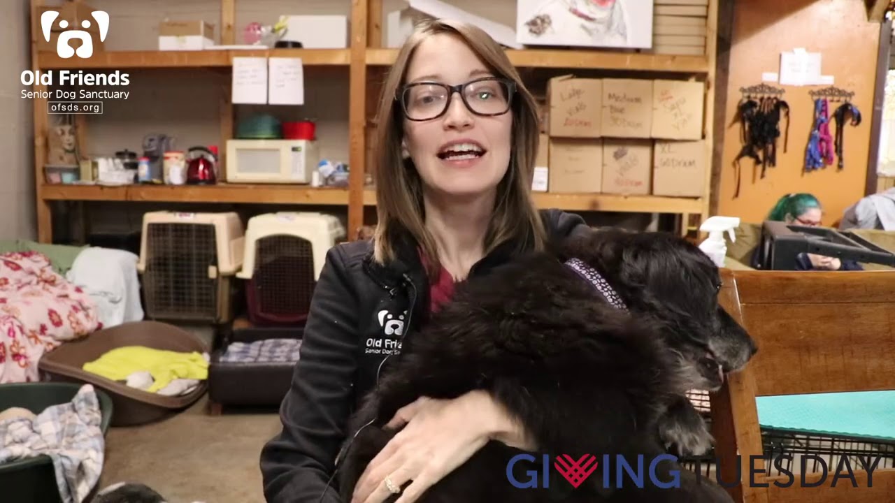 Promise -  Giving Tuesday 2020