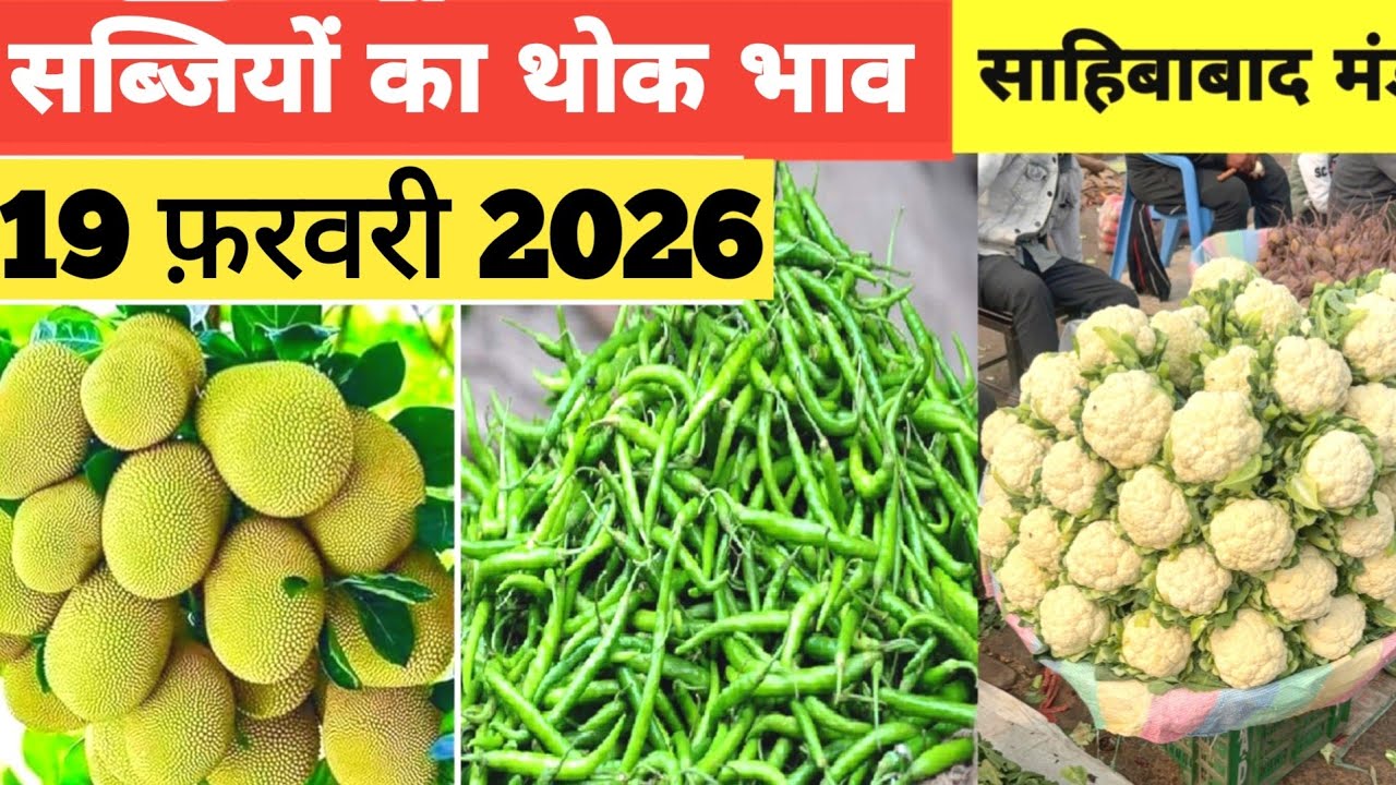 19 February 2026 🥬🫑 🥦 Vegetable rates in Sahibabad Mandi | today vegetables rates in Sahibabad Mandi 