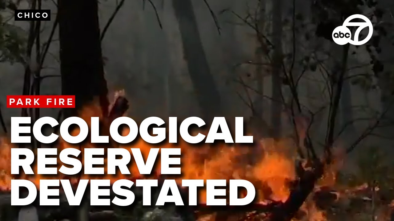 Park Fire devastates Chico State's Ecological Reserve, historic structures lost