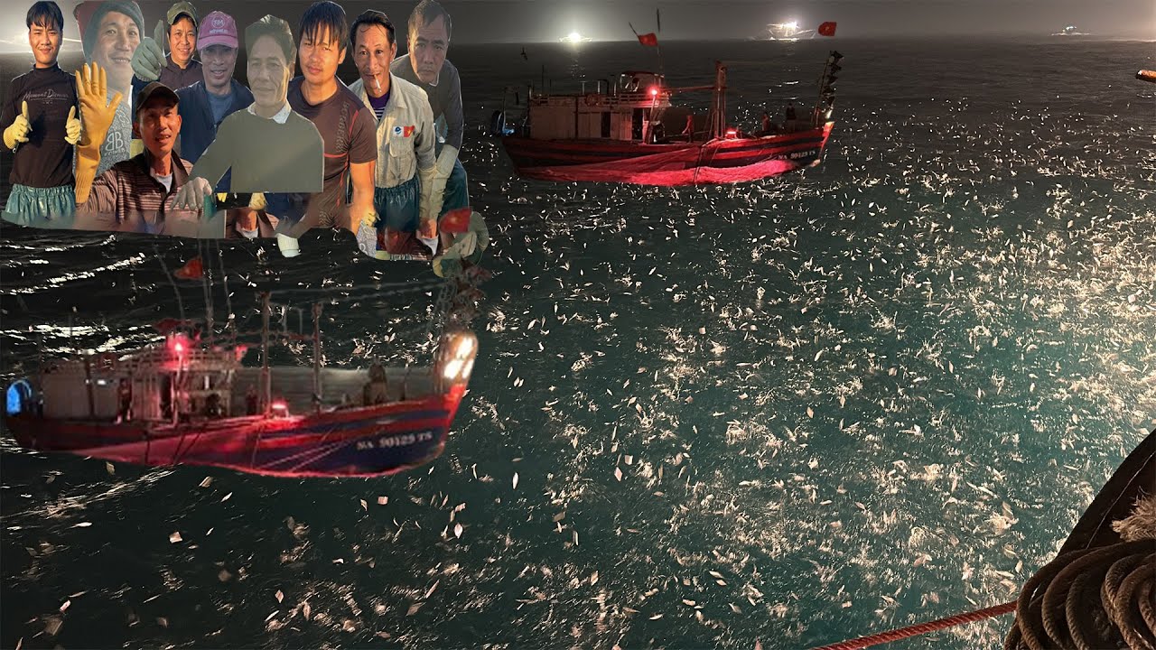 Điểm N&oacute;ng C&aacute; Cơm Cực D&agrave;y Đo&agrave;n Sẻo K&eacute;o Nhau Đến Như Kiến Cỏ - D&acirc;n Biển
