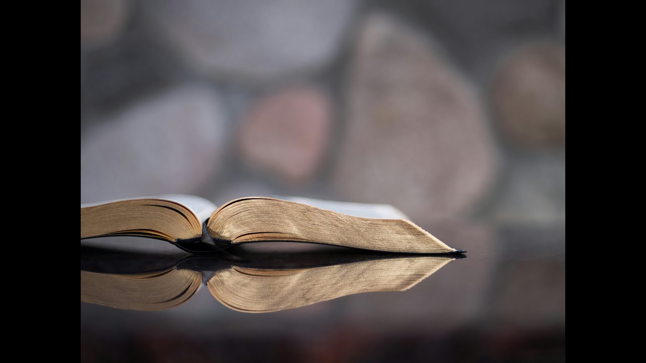 اجتماع محب البشر -  ابونا بولس رفعت - الاحد 15/03/2026